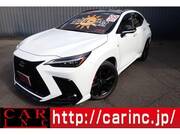 2023 LEXUS NX