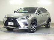 2021 LEXUS NX