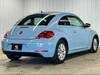 VOLKSWAGEN THE BEETLE