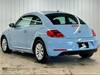 VOLKSWAGEN THE BEETLE