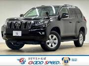 2019 TOYOTA LAND CRUISER PRADO TX