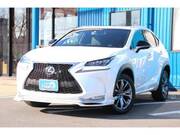 2014 LEXUS NX