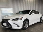 2019 LEXUS ES