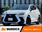 2022 LEXUS NX