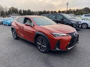 2021 LEXUS UX