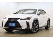 2019 LEXUS UX