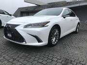 2019 LEXUS ES