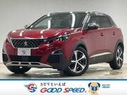 2019 PEUGEOT 3008