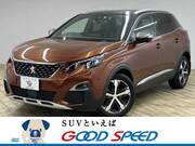 2019 PEUGEOT 3008