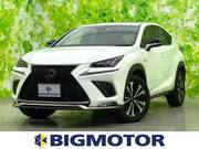 2018 LEXUS NX