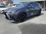 2022 LEXUS NX