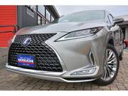 2019 LEXUS RX