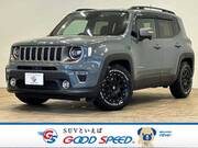 2019 CHRYSLER JEEP RENEGADE