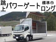 2007 TOYOTA DYNA