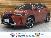 2019 LEXUS UX