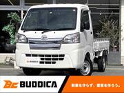 2019 DAIHATSU HIJET TRUCK