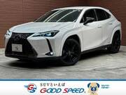 2021 LEXUS UX