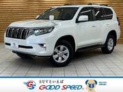 2019 TOYOTA LAND CRUISER PRADO