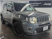 2019 CHRYSLER JEEP RENEGADE