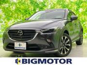 2019 MAZDA CX-3