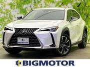 2019 LEXUS UX