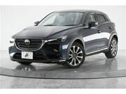 2019 MAZDA CX-3