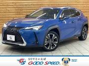 2019 LEXUS UX