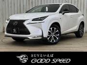 2014 LEXUS NX