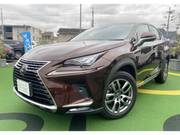 2018 LEXUS NX