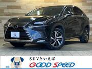 2018 LEXUS NX