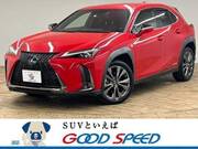 2019 LEXUS UX