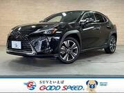 2019 LEXUS UX