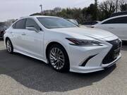 2019 LEXUS ES