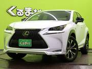 2016 LEXUS NX