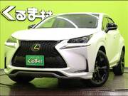 2017 LEXUS NX