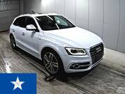 2015 AUDI SQ5