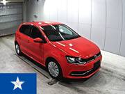 2015 OTHER POLO