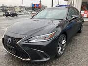 2019 LEXUS ES