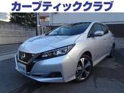 2019 NISSAN LEAF