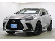 2021 LEXUS NX