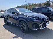 2018 LEXUS NX