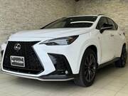 2022 LEXUS NX