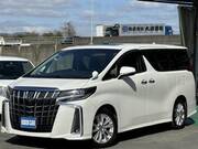 2019 TOYOTA ALPHARD