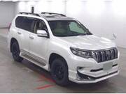 2019 TOYOTA LAND CRUISER PRADO TX