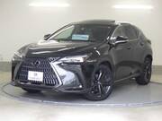 2022 LEXUS NX