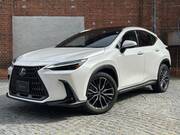 2023 LEXUS NX