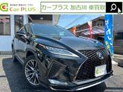 2021 LEXUS RX