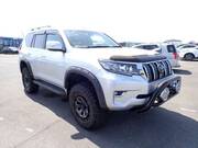 2019 TOYOTA LAND CRUISER PRADO TX