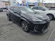 2019 LEXUS UX