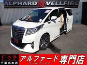 2017 TOYOTA ALPHARD 2.5G